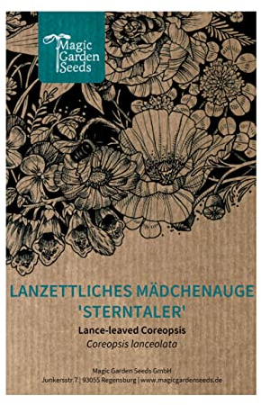 Lanzettliches Mädchenauge 'Sterntaler' (Coreopsis lanceolata) ca. 50 Samen der mehrjährigen Stauden für Blumenbeet Bauerngarten Präriegarten Schnittblume