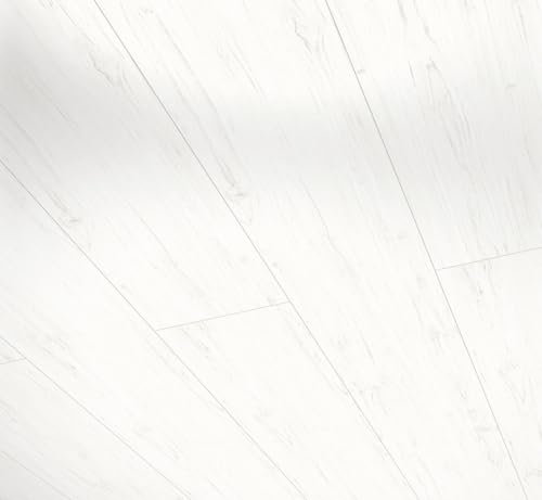 Parador Wandpaneele Deckenpaneele RapidoClick Arctic Pinie