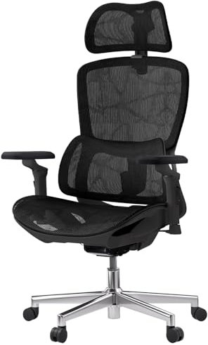 Hbada E2 Bürostuhl Ergonomisch Schreibtischstuhl mit Verstellbarer 3D-Armlehne, Bürodrehstuhl - 3D Verstellbare Kopfstütze, 3D-Lendenwirbelstütze, Schwarz