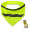 1 Stück Reflektierendes Hundehalstuch, Vivifying Halstuch Hund, Leuchthalsband Hund, Dreiecks Hundebandana, für Kleine Mittel Große Hunde und Katzen, für Nächtliche Spaziergänge Camping Reisen