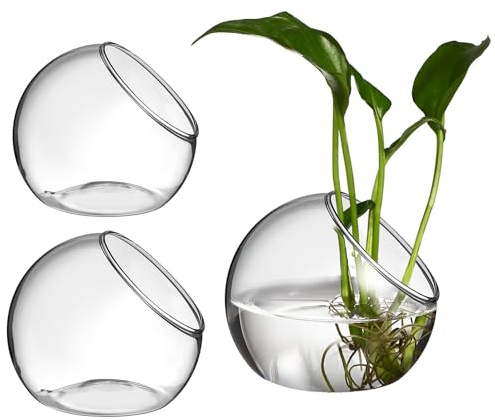 Angoily 3stücke Glas-Terrarium Abgeschrägter Öffnung Für Pflanzen Inklusive Transparentem Blumengefäß Und Luftpflanzenschale Geeignet Als Tischdeko Für Sukkulenten
