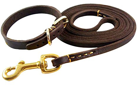 1.6M Hundeleine und Halsband Echtleder Hundführleine Haustier Schleppleine Lederleine mit Hundehalsband Halskette Martingal Dog Collar Halsbandleine für Welpen Klein Mittlere Hunde (Stitching, XS)