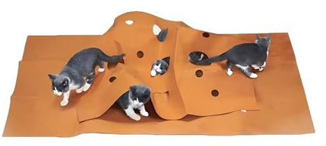 Spielmatten für Kätzchen, Spielmatte für Katzen, Kauteppich, Katzen-Trainingszelt, Katzenminze-Stimulation, zusammenklappbar, lustig, interaktives Trainingsspielzeug, matt mit Loch für Katzen