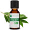 Voshuiles - Huile Essentielle Laurier Noble Bio 5ml - Parfum Herbacé et Frais - Utilisation Alimentaire - Huiles Essentielles de Qualité - 100% Pure et Naturelle - HEBBD et Certifiée ECOCERT