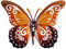 CIM Metall Wand-Deko - Schmetterling Speckled Wood - 35cm - tierische 3D Wandbilder - Wandschmuck inkl. praktischer Wandbefestigung – Lebhafte Wandskulptur - Geschenkidee