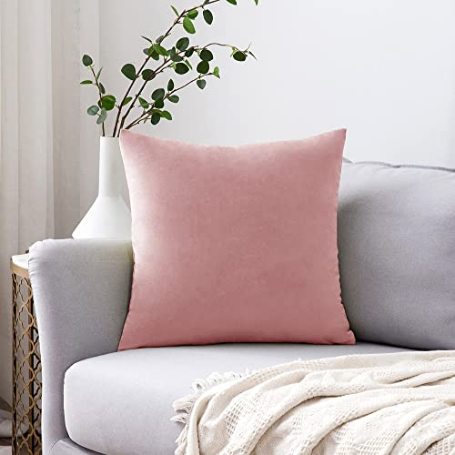 MIULEE 1 Stück Samt Kissenbezug Kissenhülle Dekorative Sofakissen Dekokissen Deko Couchkissen Zierkissen Bezug mit Verstecktem Reißverschluss für Sofa Schlafzimmer 50x50 cm Altrosa