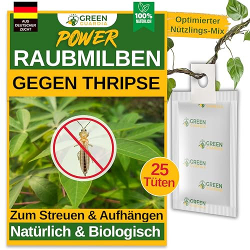 GREEN GUARDIA Power Raubmilben gegen Thripse – 25x Tüten - Biologisches Mittel zur effektiven Thripse Bekämpfung für Zimmer- und Zierpflanzen sowie Cannab. – umweltfreundlich,chemiefreie Mittel