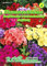 Phlox drummondii, Flammenblume, Großblumige Prechtmischung N.L.