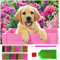 ARTULIO Diamond Painting Hunde Set – 5D Diamant Painting Bilder 30x40 cm mit Diamond Painting Zubehör für Kinder und Erwachsene - Crystal Art für Home Wand Deko