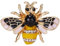 Broche élégante Broches Pour Femmes Diamant Strass Abeille Luxe Broche Festival Broche Diamant Mode Perle Broche Broche Accessoire