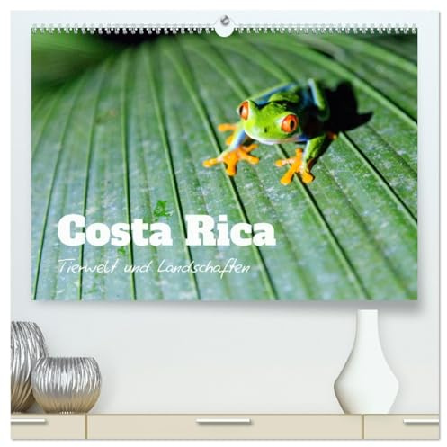 Costa Rica - Tierwelt und Landschaften (hochwertiger Premium Wandkalender 2026 DIN A2 quer), Kunstdruck in Hochglanz: Bunte Naturwunder aus Mittelamerika (CALVENDO Natur)