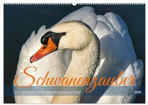 Schwanenzauber (Wandkalender 2026 DIN A2 quer), CALVENDO Monatskalender: Ein liebenswerter Geburtstagskalender (CALVENDO Tiere)