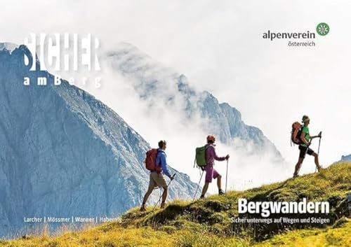 Sicher am Berg: Bergwandern: Sicher unterwegs auf Wegen und Steigen. Ein Ratgeber für Bergwanderer und solche, die es werden wollen