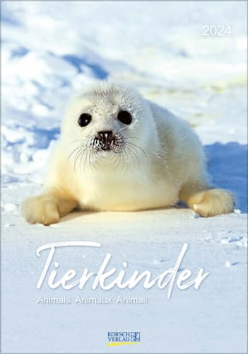 Korsch Verlag
