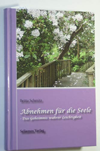 Abnehmen für die Seele: Das Geheimnis wahrer Leichtigkeit