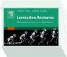 Elsevier