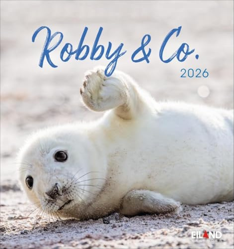 Robby & Co. Postkartenkalender 2026: Robben und Seehunde in natürlicher Umgebung in einem kleinen Kalender. Postkarten-Fotokalender für Tierfreunde ... oder Aufhängen (Postkartenkalender Eiland)