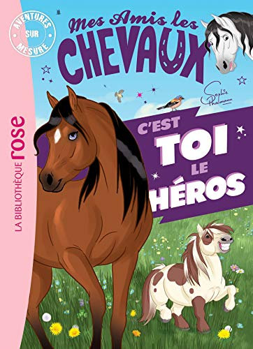 Mes amis les chevaux - C'est toi le héros XXL