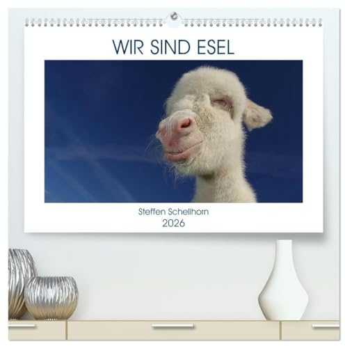 WIR SIND ESEL (hochwertiger Premium Wandkalender 2026 DIN A2 quer), Kunstdruck in Hochglanz: Esel sind nicht nur grau und stur, sie sind wundervolle Tiere, halt Esel. (CALVENDO Tiere)