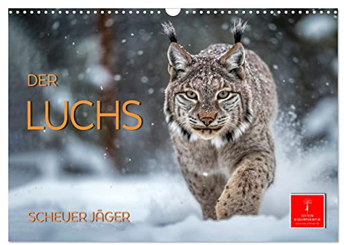 Der Luchs - scheuer Jäger (Wandkalender 2026 DIN A3 quer), CALVENDO Monatskalender: Der Luchs - das Pinselohr - die größte Katze Europas. (CALVENDO Tiere)
