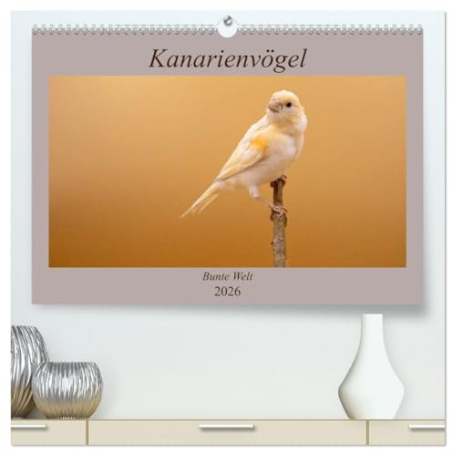 Kanarienvögel - Bunte Welt (hochwertiger Premium Wandkalender 2026 DIN A2 quer), Kunstdruck in Hochglanz: Wunderschöne Bilder, welche die ganze bunte Vielfalt der Kanarienvögel zeigen (CALVENDO Tiere)