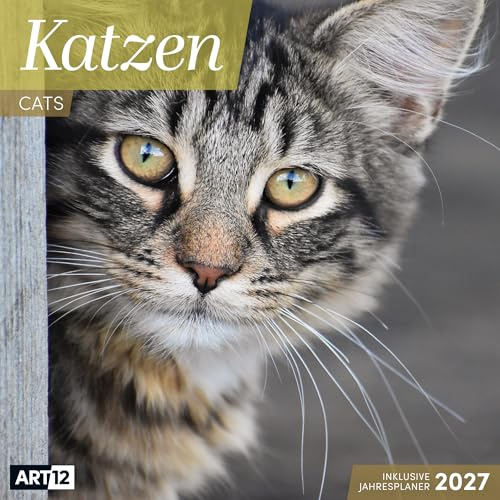 Katzen Broschürenkalender 2027 - 30x30 - Art12 | Niedlicher Tier-Kalender im schlanken Hochformat (aufgeklappt 30x60 cm) | mit Eintrage-Kalendarium