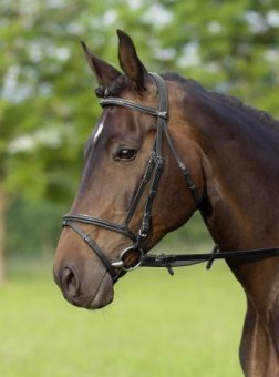 USG Trense Siria, engl. RH, schwarz, Warmblut, silberfarbene Schnallen