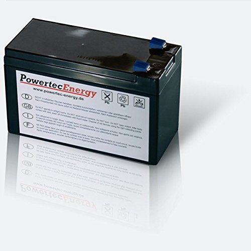 Riello Net Power NPW 600 UPS batteria