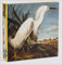 teNeues Publishing Company Snowy Egret, James Audubon 1000-Piece Puzzle