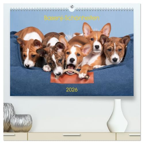 Basenji-Schönheiten (hochwertiger Premium Wandkalender 2026 DIN A2 quer), Kunstdruck in Hochglanz: Wunderschöne Basenjis, groß und klein (CALVENDO Tiere)
