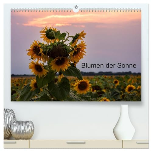 Blumen der Sonne (hochwertiger Premium Wandkalender 2026 DIN A2 quer), Kunstdruck in Hochglanz: Sonnenblumen in verschieden Lichtverhältnissen (CALVENDO Orte)