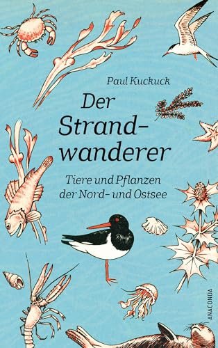 Der Strandwanderer. Tiere und Pflanzen der Nord- und Ostsee: Der Naturführer Klassiker. Das Bestimmungsbuch für Küste, Inseln, Wattenmeer