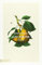 DuMont Buchverlag GmbH