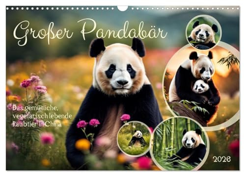 Großer Pandabär (Wandkalender 2026 DIN A3 quer), CALVENDO Monatskalender: Das gemütliche, vegetarisch lebende Raubtier in China (CALVENDO Tiere)