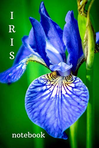 IRIS: Flower Motivational Notebook, Journal, Score book, Exercise Book, Motivational Booklet, Draftsmanship, Memorials,Album, Logbook, Diary (110 Pages, LINE, 6 x 9)