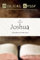 Biblical Sense: The Book of Joshua