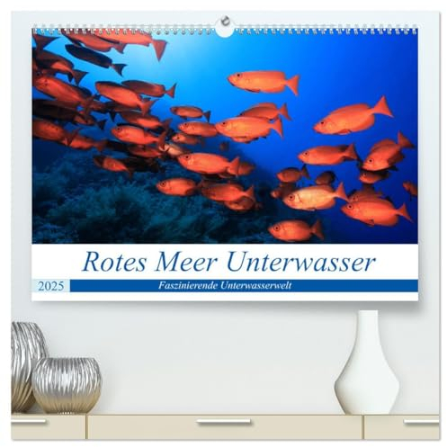 Rotes Meer Unterwasser (hochwertiger Premium Wandkalender 2025 DIN A2 quer), Kunstdruck in Hochglanz