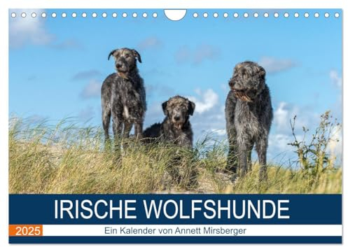 Irische Wolfshunde (Wandkalender 2025 DIN A4 quer), CALVENDO Monatskalender: Sanfte Riesen (CALVENDO Tiere)