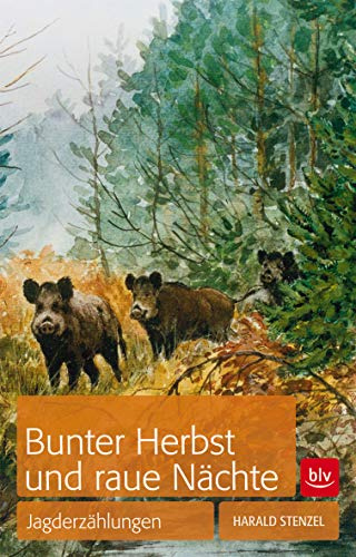 Bunter Herbst und raue Nächte: Jagderzählungen