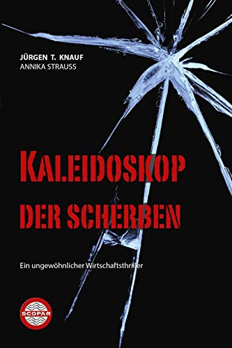 Kaleidoskop der Scherben: Ein ungewöhlicher Wirtschaftsthriller: Ein ungewöhnlicher Wirtschaftsthriller