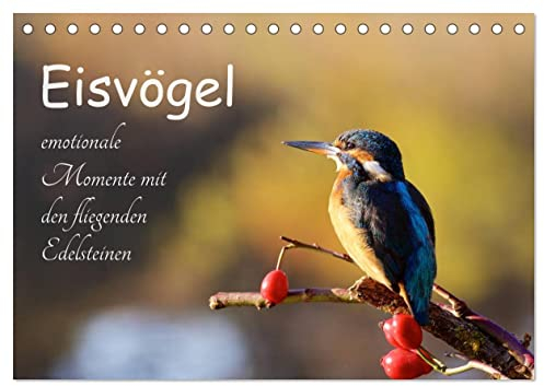 Eisvögel - emotionale Momente mit den fliegenden Edelsteinen (Tischkalender 2025 DIN A5 quer), CALVENDO Monatskalender