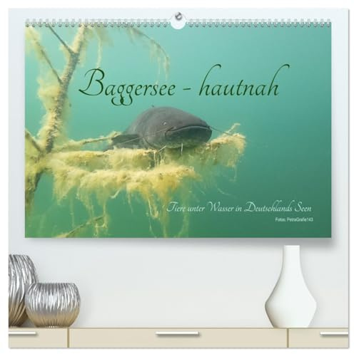 Baggersee -hautah (hochwertiger Premium Wandkalender 2026 DIN A2 quer), Kunstdruck in Hochglanz: Tiere unter Wasser in deutschen Seen (CALVENDO Tiere)