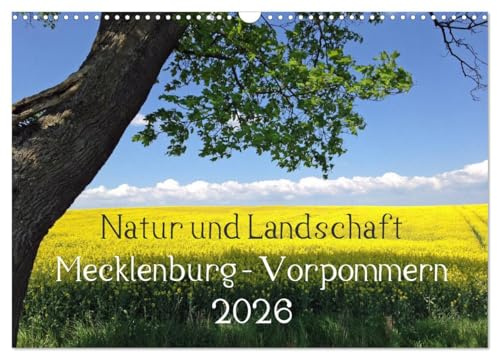 Natur und Landschaft Mecklenburg - Vorpommern 2026 (Wandkalender 2026 DIN A3 quer), CALVENDO Monatskalender