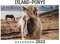 Island-Ponys: Kalender 2023