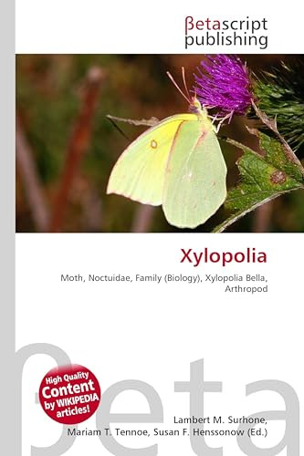 Xylopolia: Moth, Noctuidae, Family (Biology), Xylopolia Bella, Arthropod