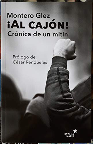 ¡Al cajón! : crónica de un mitin
