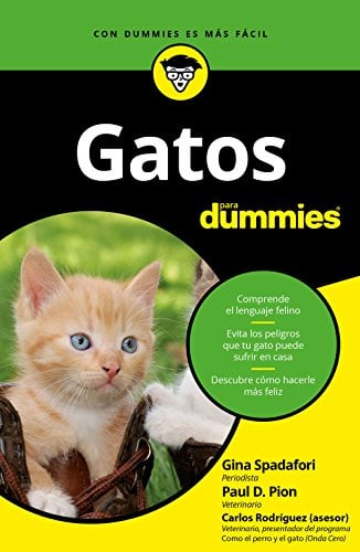 Para Dummies