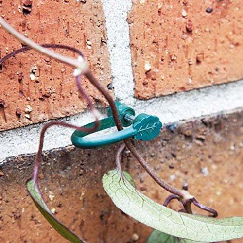Plant Support Clips SupaGarden Stem Support Clips Plant Ties Flower Support