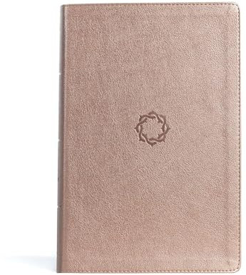 Holy Bible: King James Version, Essential Teen Study Bible, Rose Gold, Leathertouch, Indexed
