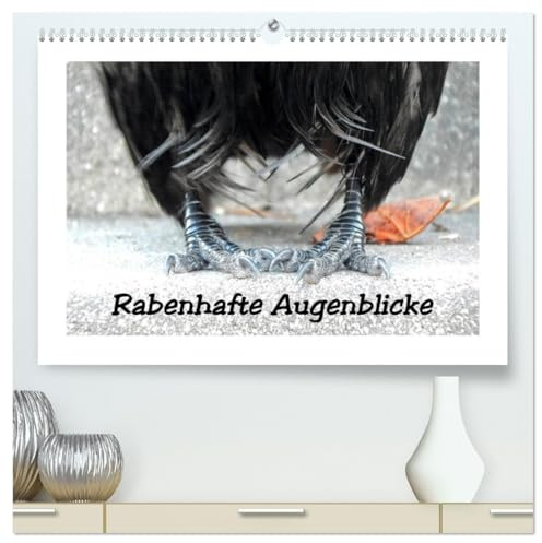 Rabenhafte Augenblicke (hochwertiger Premium Wandkalender 2026 DIN A2 quer), Kunstdruck in Hochglanz: Rabenvögel auf Tuchfühlung, dem Glücksraben auf die Krallen geschaut (CALVENDO Tiere)